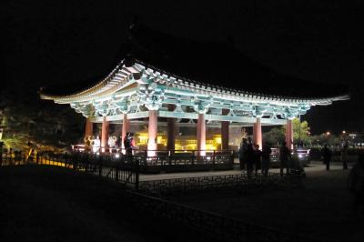 2011秋、韓国旅行記24(16/35)：慶州、雁鴨池のライトアップ、雁鴨池(臨海殿跡)からの出土品