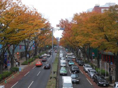 紅葉とクリスマスを同時に楽しむ♪おひとりさまの休日☆FAUCHON紅茶セミナー・表参道の紅葉散歩・鼎泰豐で小籠包