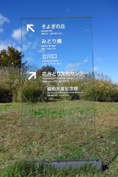 国営昭和記念公園の紅葉狩り