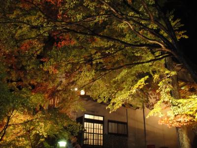 ほぼ初めての岐阜県旅行　土岐～下呂～高山～白川