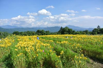 涼を求めて日帰り旅行～八ヶ岳～