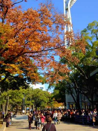 横浜公園 秋の彩