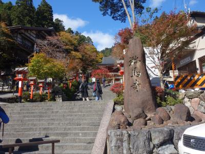 鞍馬までよもぎだんごを買いに。残念，お休みでした。でも，木の芽煮は買えました。