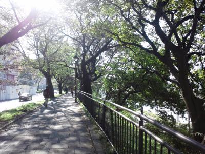 そうだ、散歩に行こう。　「えっ、こんな都会で桃源郷を見つけてしまった」の巻