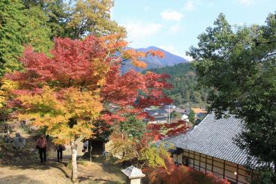 丹波の紅葉めぐり