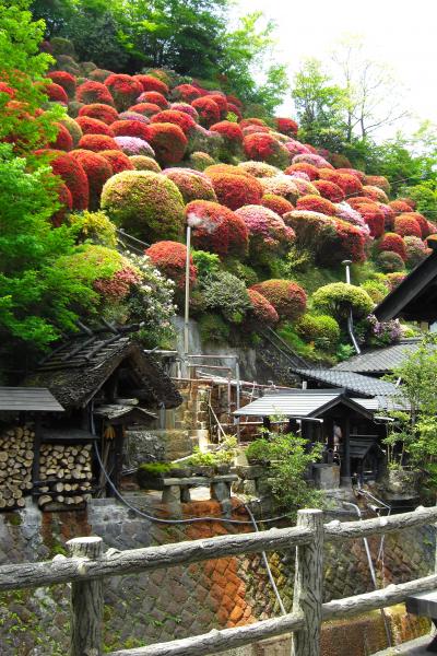 バイクで阿蘇　　最高