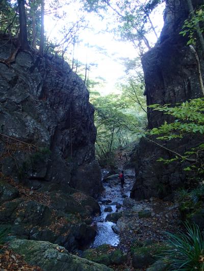 棒ノ嶺　トレーニング登山