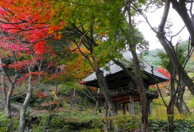 今年の両足寺は、、、