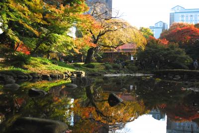 2013.11都立庭園スタンプラリー その1.小石川後楽園