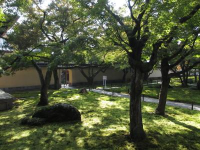 2013年　京都大徳寺　秋の特別拝観