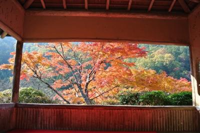 名古屋から日帰り京都旅☆紅葉狩り☆