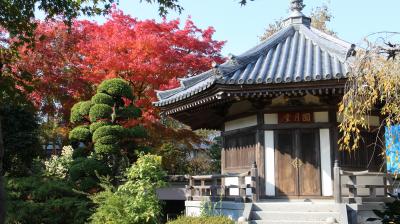 秋空になって紅葉の街中散歩