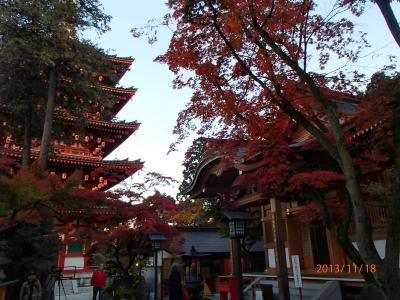 紅葉の高幡不動尊金剛寺