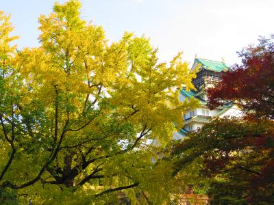大阪城と紅葉　
