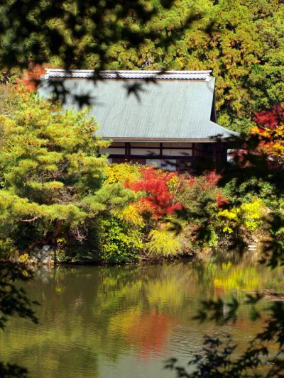 京都の秋　2013 　紅葉を探して・・・7. 龍安寺