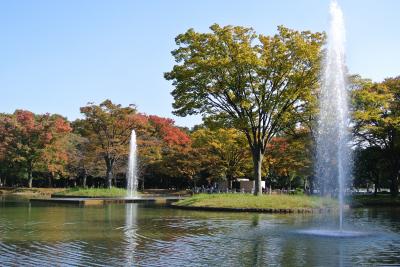 東京散歩『秋の代々木公園・明治神宮』