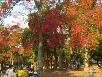 2013年秋は奈良と伊賀！紅葉と動物と仏像を楽しむ（前編）～奈良散策と寺院めぐり～