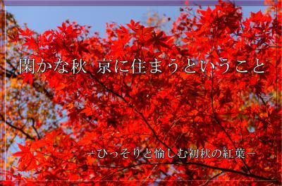 閑かな秋　京に住まうということ・・・2013秋［１］