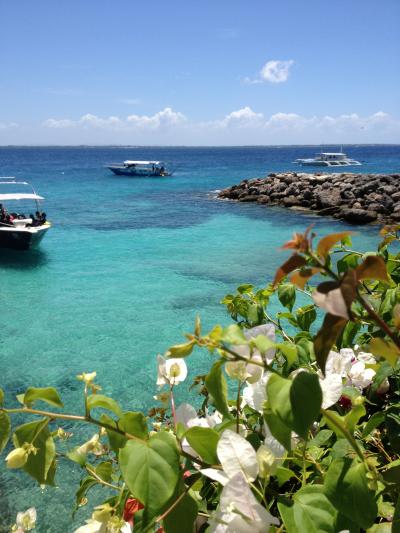 Ｉ　ＬＯＶＥ　ＣＥＢＵ　1