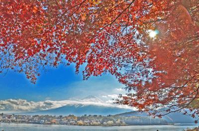 富士山を追って　2013.11.16　=３.河口湖・紅葉=