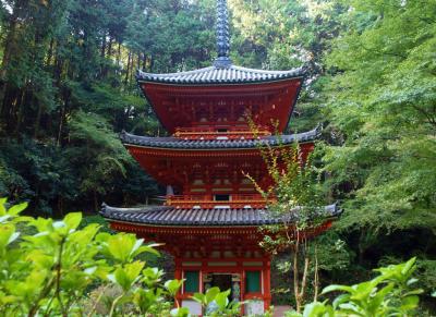 ２０１３　奈良旅ー９　岩船寺　再訪