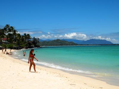 初ハワイですべて個人手配、慣れないレンタカーで周るオアフ島ドタバタ家族旅行～果たして無事に帰れるか？～　2日目