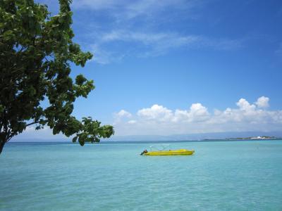 Ｉ　ＬＯＶＥ　ＣＥＢＵ　3