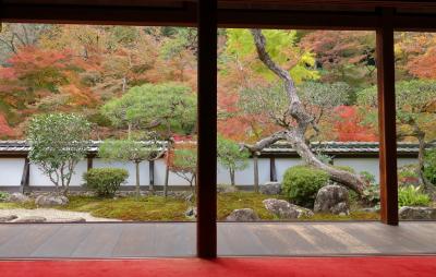 奈良正暦寺のもみじ狩り