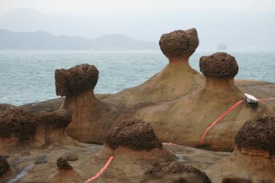 2012早春、台湾旅行記7(14/25)：2月10日(9)：野柳、第一エリアから第二エリアへ、キノコ岩