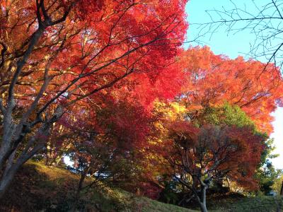 秋の丹波篠山　4世代旅行♪