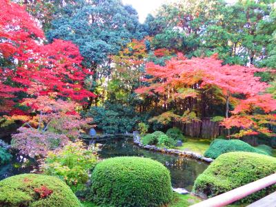 小野小町ゆかりの門跡寺院「随心院と紅葉」