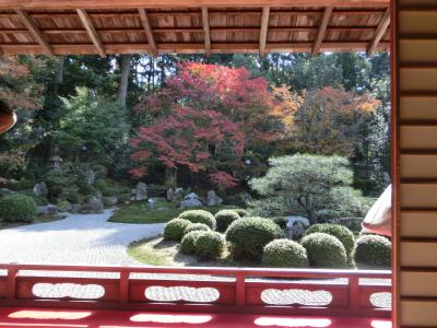 京都町歩き(16)/紅葉の一乗寺周辺ブラブラ/鷺森神社・曼殊院・詩仙堂・八大神社・圓光寺・狸谷山不動院