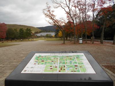１泊弾丸観光、奈良公園編♪