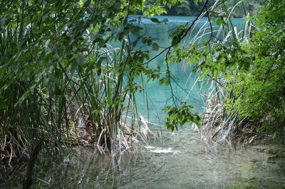 2012初夏、クロアチア等の東欧旅行(18/50)：6月23日(4)：プリトヴィツェ湖群国立公園、ミルカ・テルニナ顕彰碑