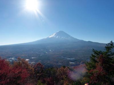 ０１．富士五湖の紅葉を楽しむ山中湖マウント富士１泊　三島の銀杏並木　紅葉台