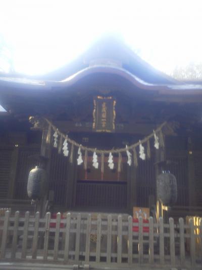 こりゃ歩いて行くのはムリだね　氷川女體神社