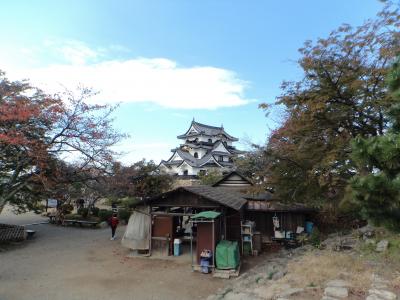 香嵐渓・小原の四季桜となばなの里イルミネーション伊勢神宮両参りぐるり周遊５日間