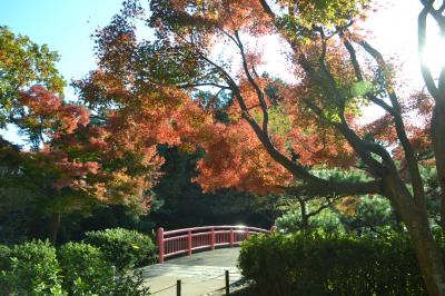 こども自然公園（大池公園）でマロデニを食べる。モルモットともふれあう。