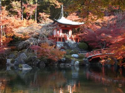 2013年　京都山科の紅葉