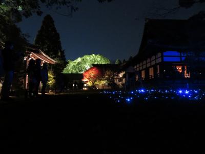 京都の紅葉ライトアップ（秋の特別拝観）