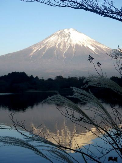 紅葉と逆さ富士に見守られた晩秋の一日（河口湖ー昇仙峡ー田貫湖）