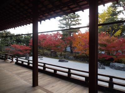 2013年　京都の紅葉　山科の毘沙門堂と今年が最後の公開になりそうな相国寺開山堂の紅葉