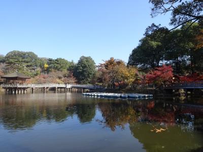 秋色の奈良公園散策２０１３　その①