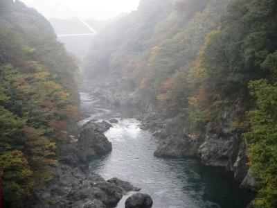 田舎者、お手軽？日帰りバスツアーで観光したにょだ！の巻きっ♪