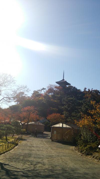 三渓園と浜離宮散策。都会の秋。