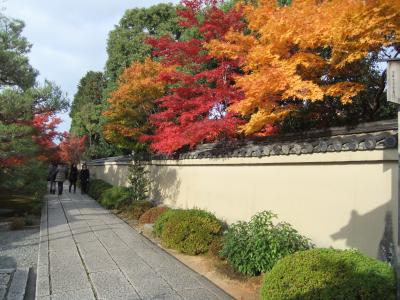 　混雑覚悟の京都紅葉めぐり 　鷹峯・大徳寺