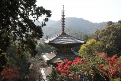 紅葉の法華山一乗寺と富久錦蔵開