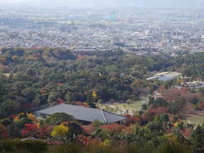 秋色の奈良公園散策2013 その②