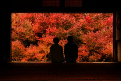 豊岡の雲海と紅葉