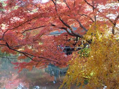 京都府立植物園　紅葉散策